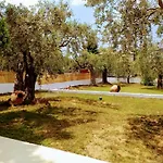 Σπίτι διακοπών Vista Al Mar Σκάλα Καλλιράχης